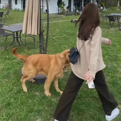小小车手